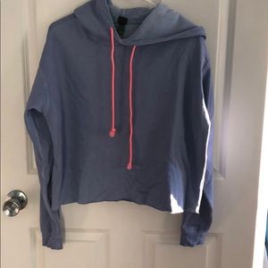 Wild Fable Crop Hoodie